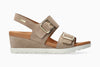 Light Taupe
