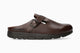 Chestnut